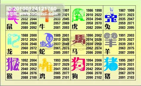 2013年是什麼年|2013年是什么年？